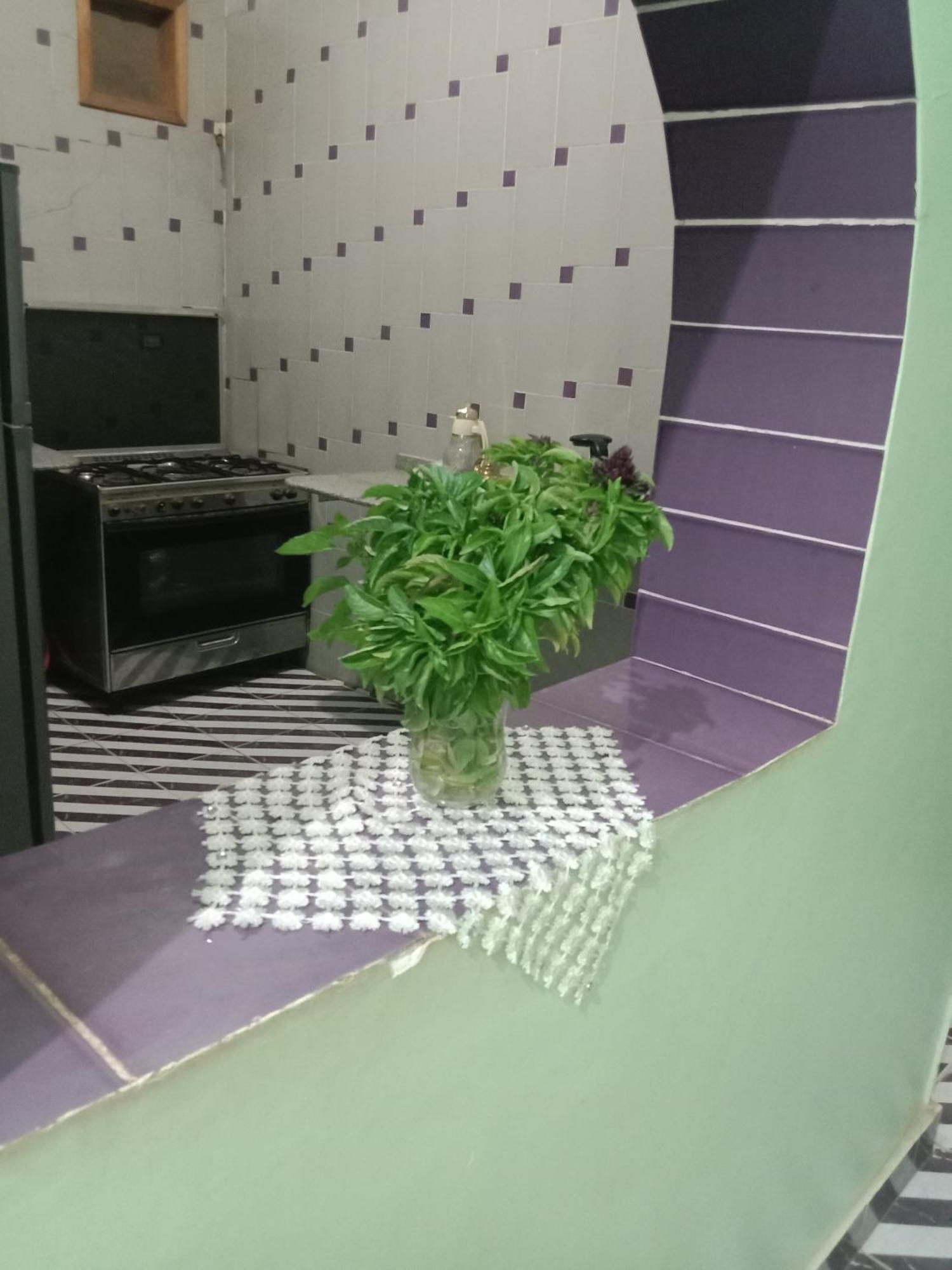 بيت شمس Assuan Exterior foto