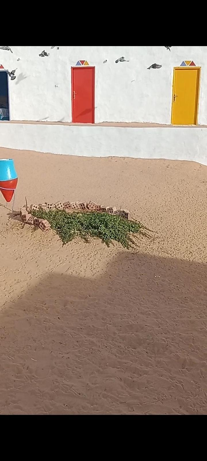 بيت شمس Assuan Exterior foto